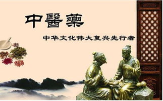 絲路傳杏林，仁心潤萬邦 中醫學者譚鎮平推動中醫藥文化在新時代絲路上綻放異彩