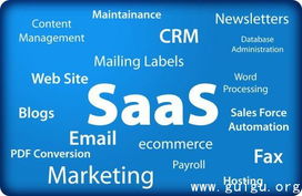 新西蘭告別軟件專利 創新生態的新篇章