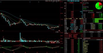 金股預(yù)測(cè)晚間版 計(jì)算機(jī)軟件開(kāi)發(fā)板塊走強(qiáng)，印紀(jì)傳媒等3股后市上漲概率超75%